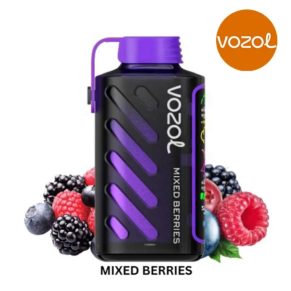 Vozol Gear Power 20000 Mixed Berries