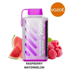 Vozol Gear Power 20000 Raspberry Watermelon